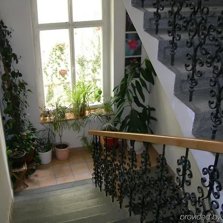 5 Aparthotel 3*