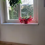 Apartmanhotel 5 3*