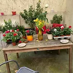 Apartmanhotel 5 3*