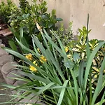 5 3* Прага