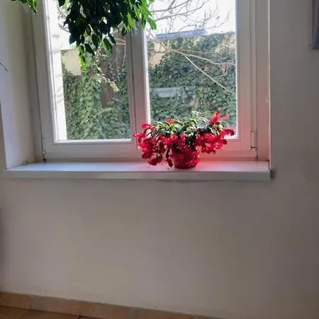 Aparthotel 5 3*