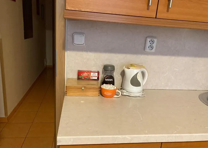 5 Lägenhetshotell Prag