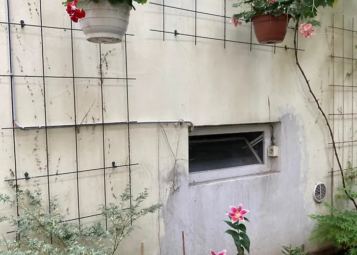5 شقة فندقية براغ